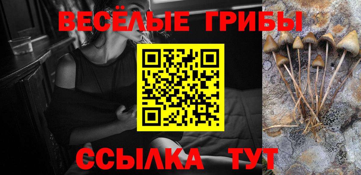 Псилоцибиновые грибы мухоморы  Галлюциногенные грибы MAGIC MUSHROOMS  Родники  Вход с VPN 
