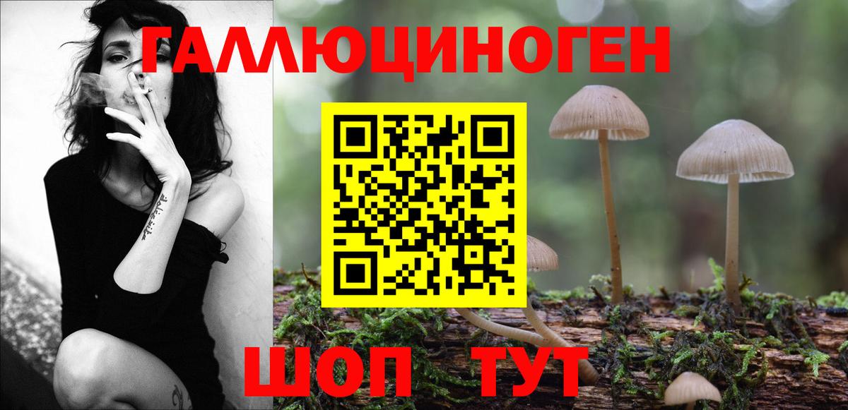 Галлюциногенные грибы ЛСД Родники