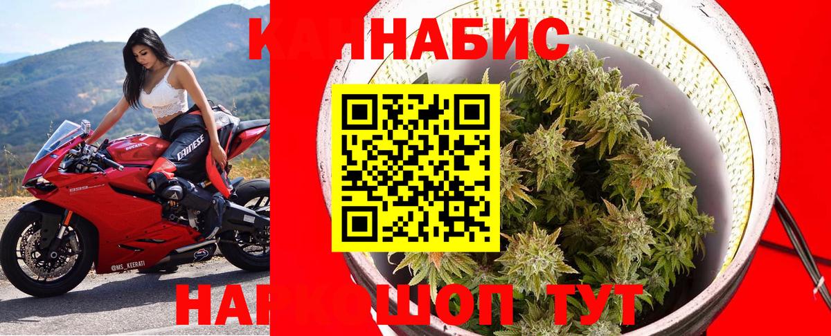 Каннабис Amnesia  Канабис индика  Родники  Бошки Шишки Amnesia  Вход с VPN 